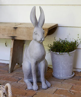 Harold the Hare Grey