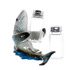 Salt and Pepper Holder